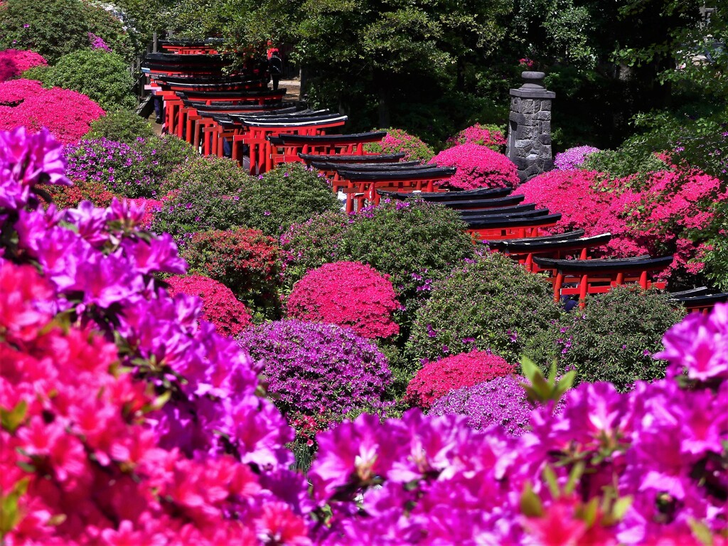 根津神社②