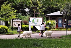 食費が大変そうですね！　①