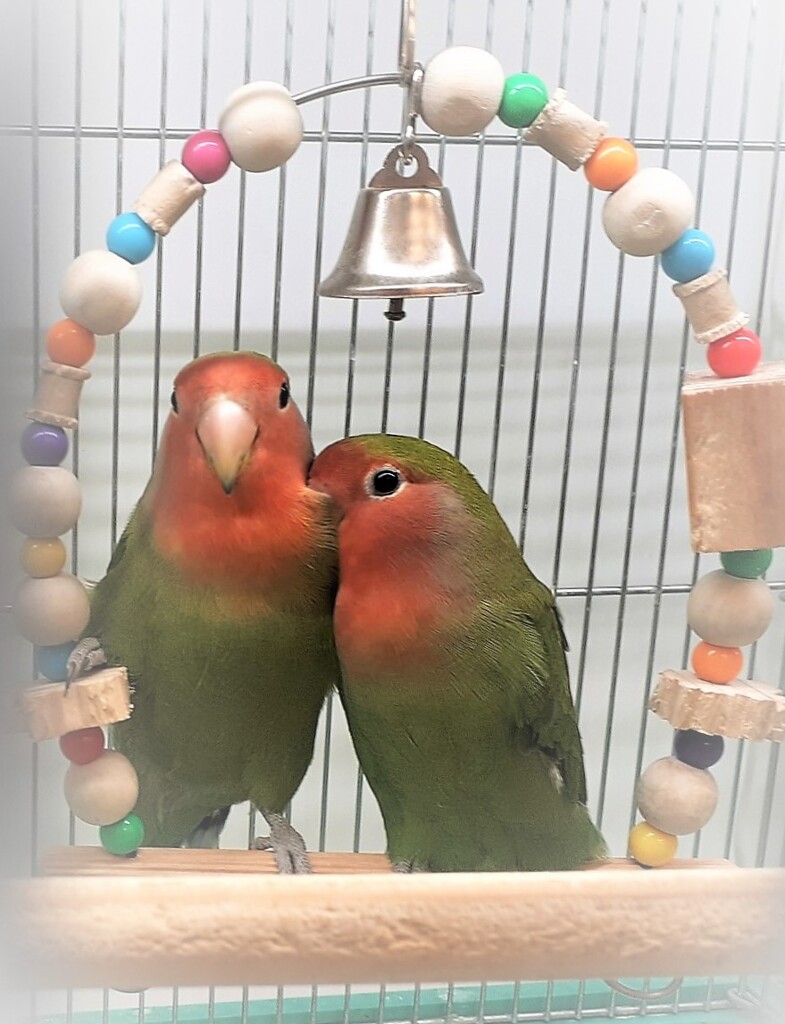 邪魔しないでね♡