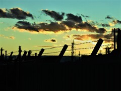 有刺鉄線と夕焼け