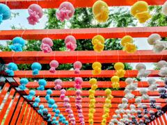 田無神社 (1)