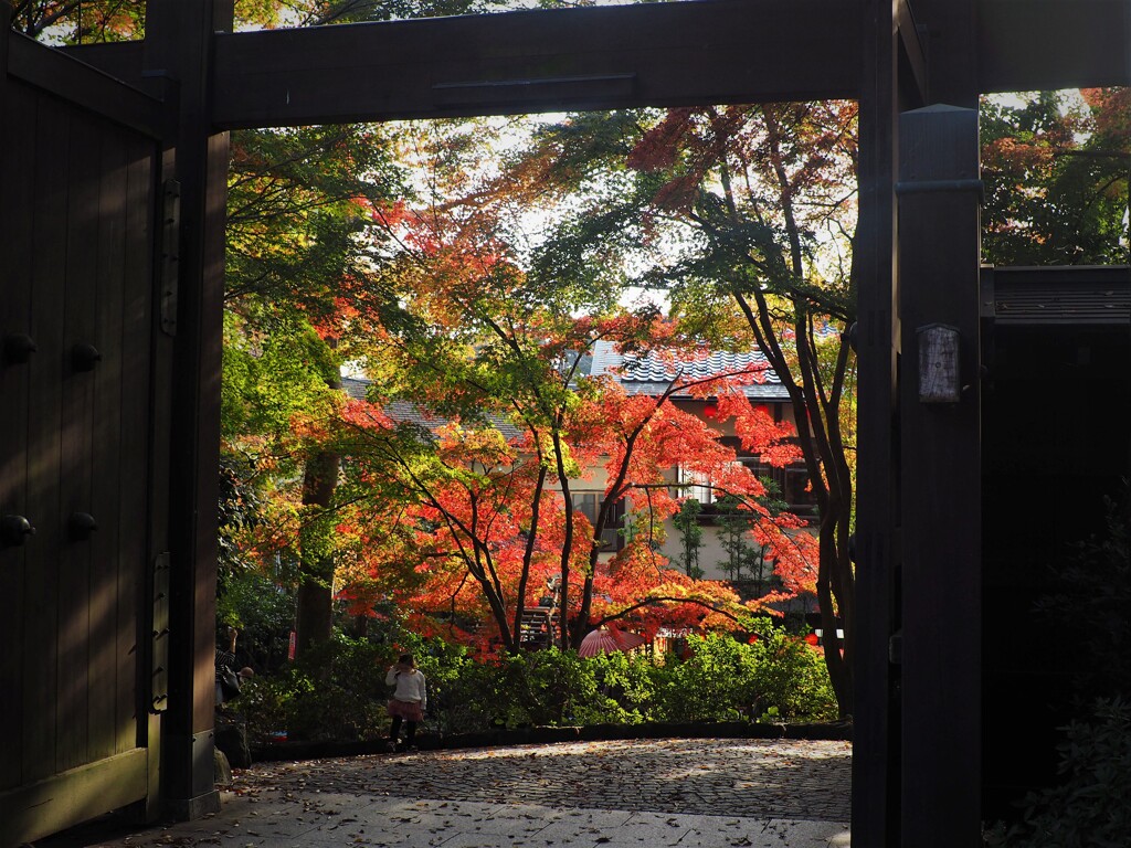 晩秋の深大寺　東門