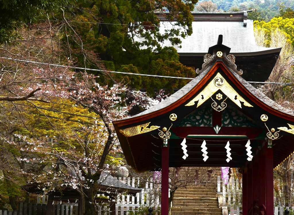 筑波山神社 (1)
