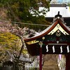 筑波山神社 (1)