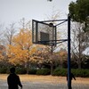 大宮第二公園 ( バスケ)