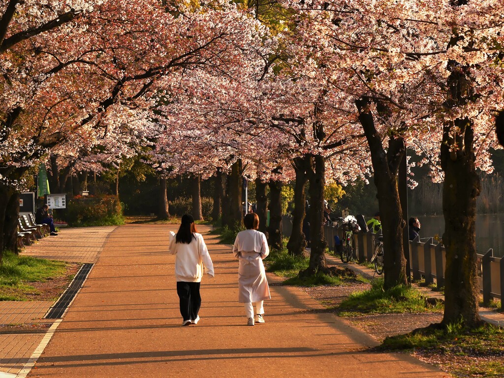 都立浮間公園 (3)