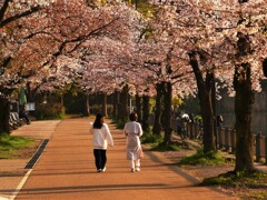 都立浮間公園 (3)