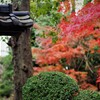 紅葉