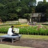 芸術の秋 (1)