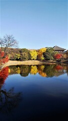 奈良の秋