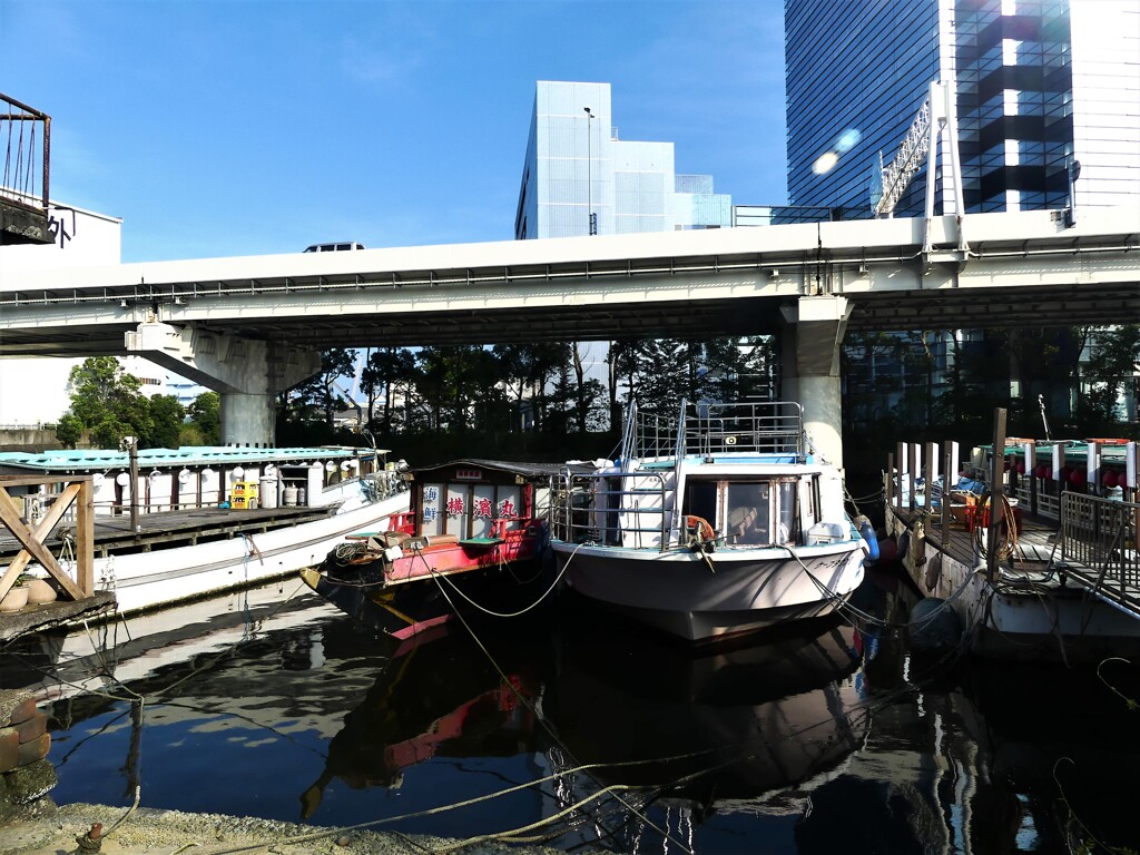 子安浜（浜通り～浦島町）⑧