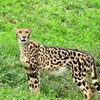 多摩動物公園敗者復活戦①