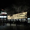 浅草寺の夜桜 
