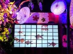 金魚ミュージアム (2)