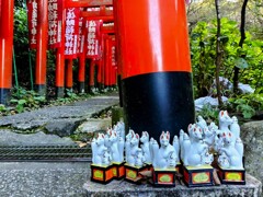 湘南さんぽ (2)