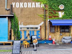BLUE BLUE YOKOHAMA (2)