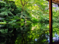 瑠璃光院 (2)