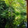 瑠璃光院 (2)