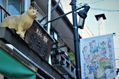 谷中ぎんざ⑪