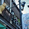 谷中ぎんざ⑪