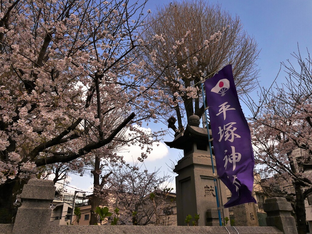平塚神社 (1)