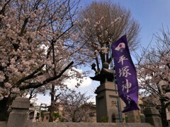 平塚神社 (1)