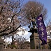 平塚神社 (1)