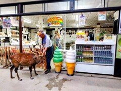 売店の訪問者