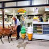 売店の訪問者