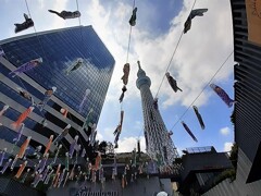 東京スカイツリータウン鯉のぼりフェスティバル2022 (1)
