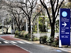 けやき坂 (1)