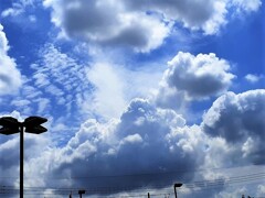 夏の思い出④