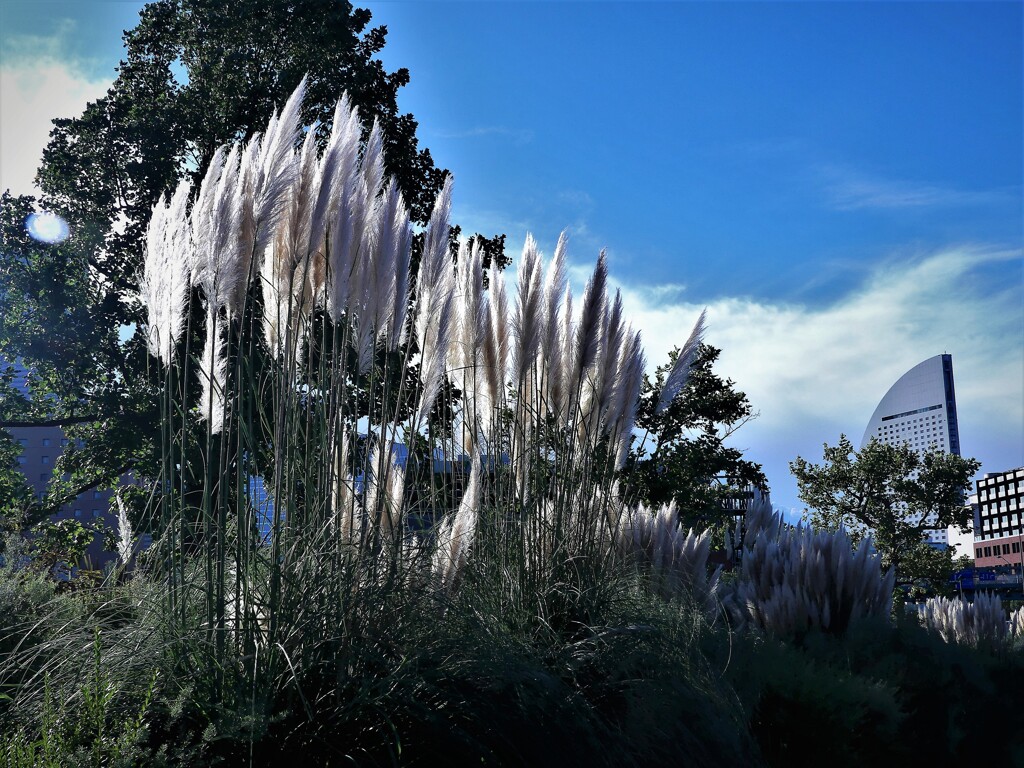 秋の気配 