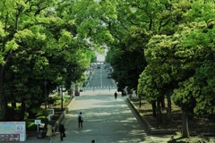 横浜スタジアム①
