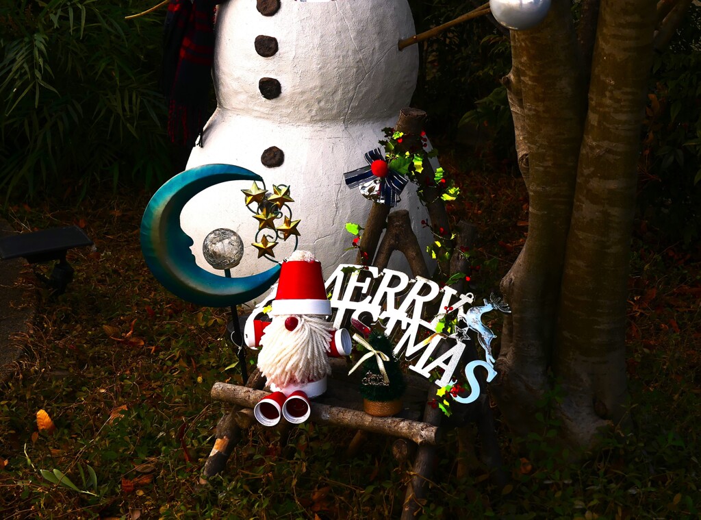 Merry Christmas