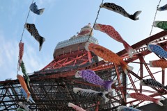 東京タワーと鯉のぼり①