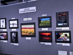 NHK学園生涯学習写真展 (1) 