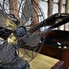 夏の思い出⑩