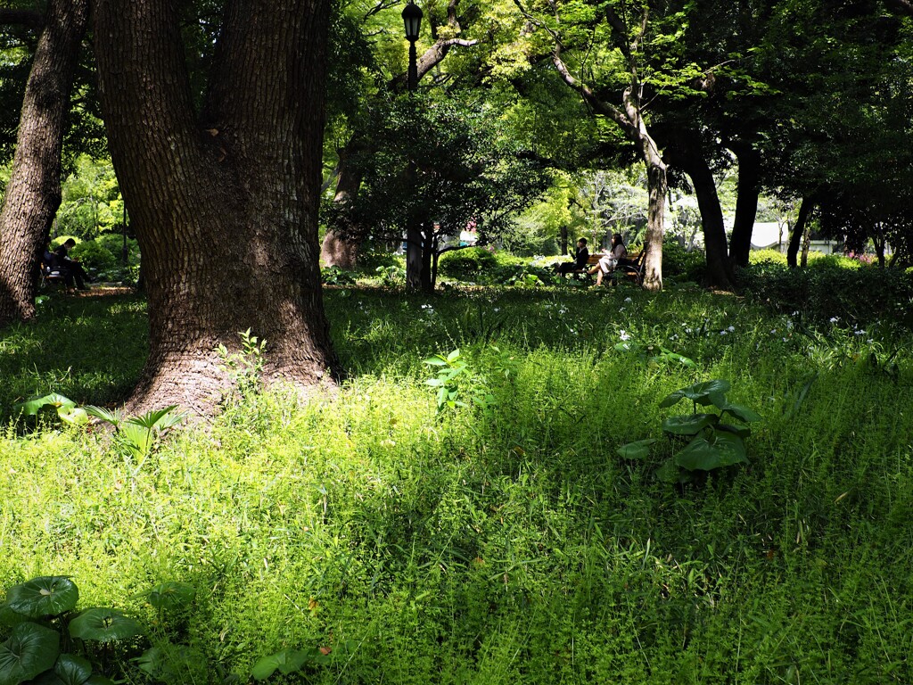 日比谷公園⑦