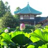 上野不忍池 (2)