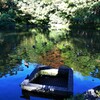 朝の池 (1)