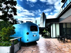 ハンマーヘッド (1)