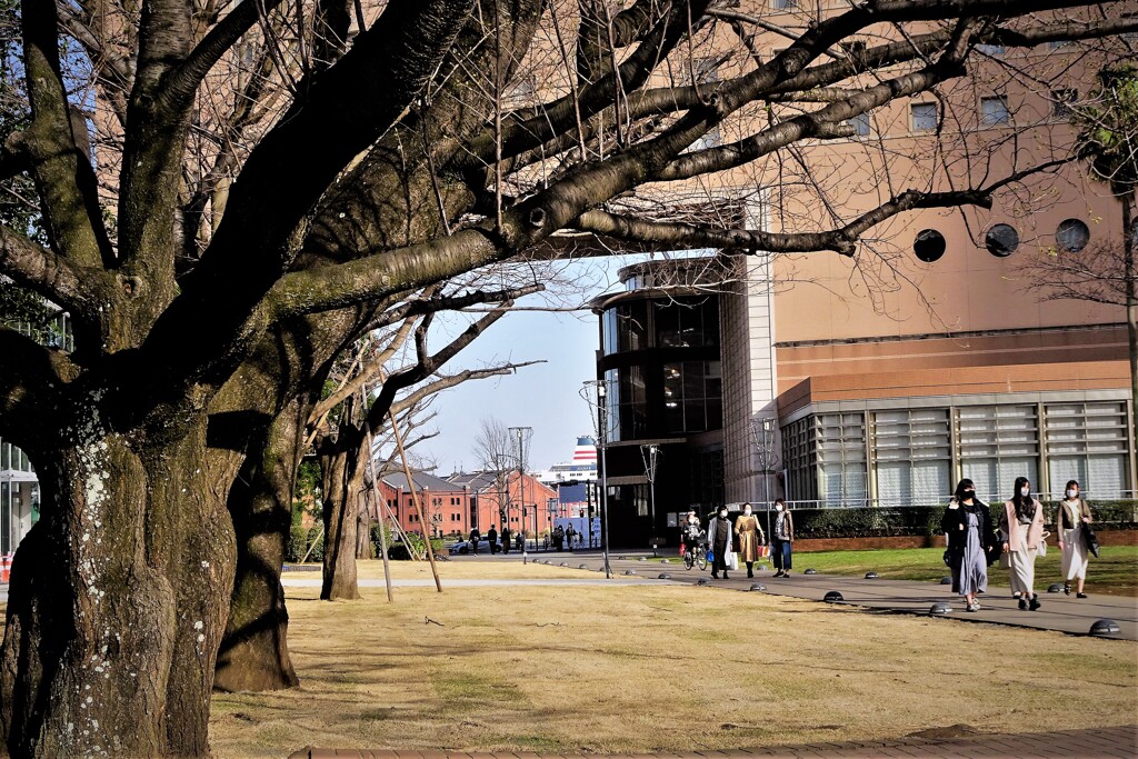 YOKOHAMA散歩 (11)