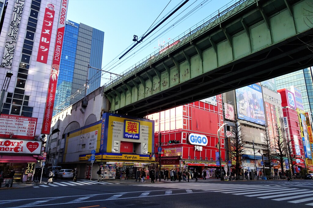 Akiba night & day (2)