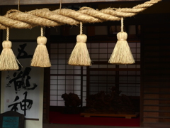 田無神社 (7)