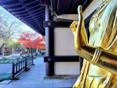 仏さまのハンドサイン（来迎印）