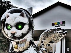 宇宙猫 (2)