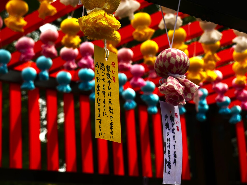 田無神社 (2)