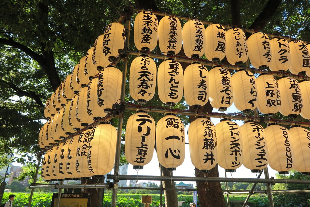上野不忍池 (1)