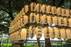 上野不忍池 (1)